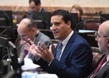 Maxi Abad pidió que la vacuna contra el dengue se incluya en el calendario nacional