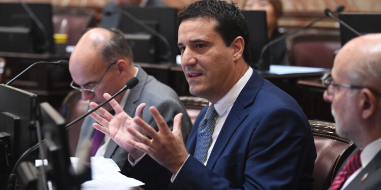 Maxi Abad pidió que la vacuna contra el dengue se incluya en el calendario nacional