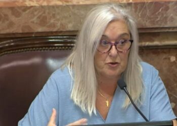 Solidaridad de los senadores nacionales de la UCR con Edith Terenzi