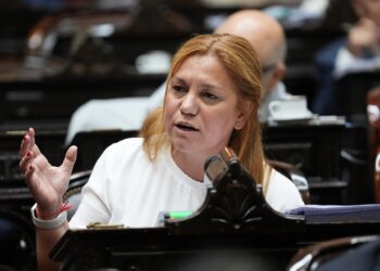 Karina Banfi. “Voy a dar quórum para insistir por la Ley de Movilidad Jubilatoria”